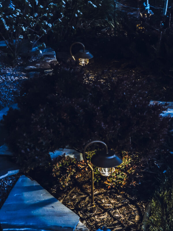 Black Mulch Landscaping & New Solar Lights Berry Berry Quite Contrary